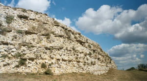 Socially distanced days out Silchester Roman wall